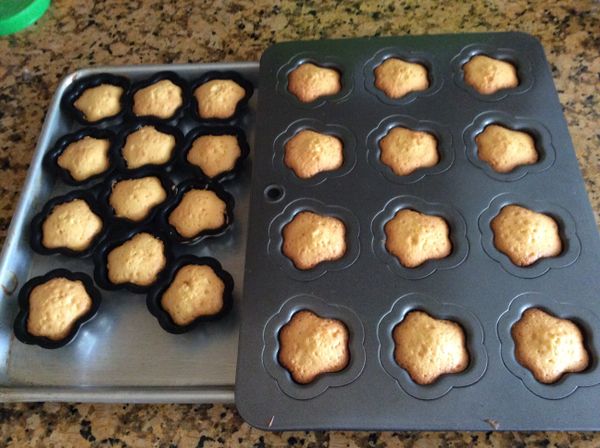 350°F烤約15分鐘，貝殼蛋糕也是一樣。