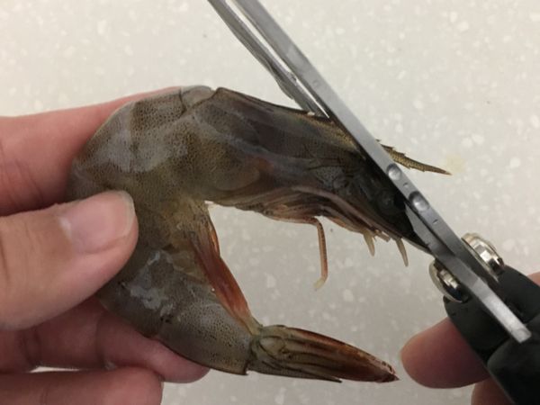 將蝦子前端與後端尖銳的地方剪掉，以免剝殼的時候刺傷