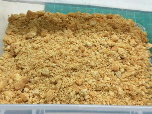 把餅乾放在容器敲碎