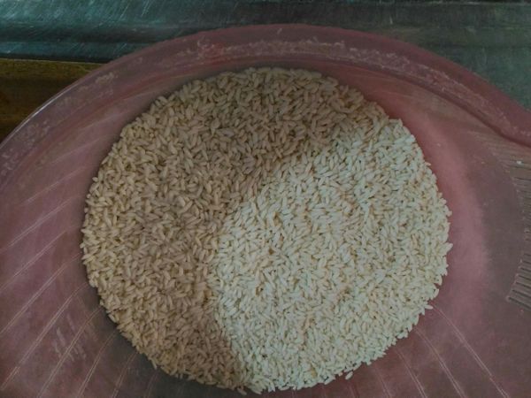 三平杯糯米→洗米(不需泡水)