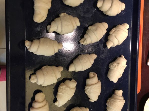 卷好的可頌放在烤盤上