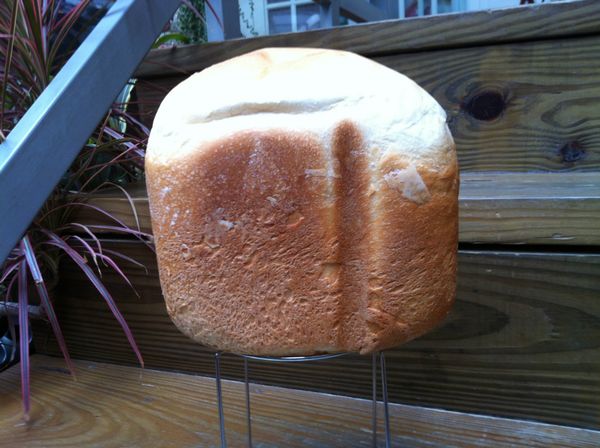 吃早餐囉,將吐司切成厚長片再進烤箱烤的酥脆些,沾上熱呼呼的焗白醬,再配上一口現榨奇異果水梨果汁

超幸福的～