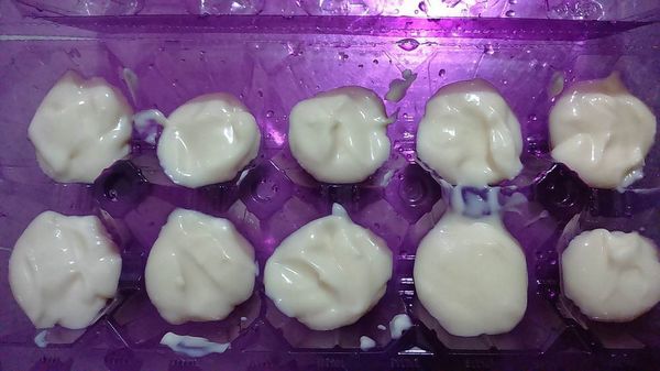 調好的乳酪糊舀些至蛋盒填滿，個個最好不要連在一起要間隔開，要吃冰時才不會連在一起還要拆。