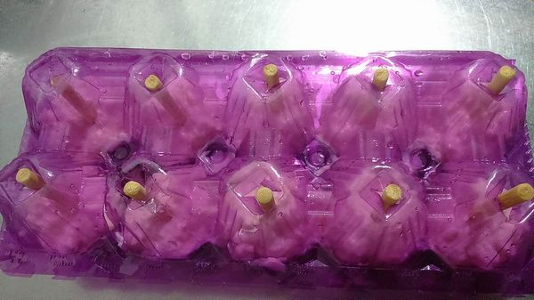 草莓優格乳酪糊全填滿後，即可蓋上另一邊蛋盒，個個插入竹筷，冷凍2小時結凍即可享用。