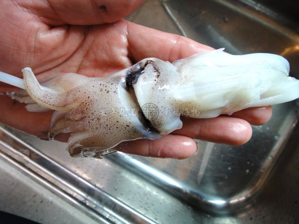 透抽頭部也用料理剪刀，從兩眼間剪開。