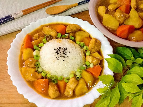10.盛白飯，舀入咖哩，撒點蔥花(可略)即完成。