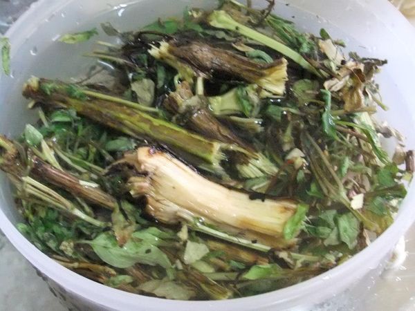 放入鍋中燉煮→水開轉小火約2小時