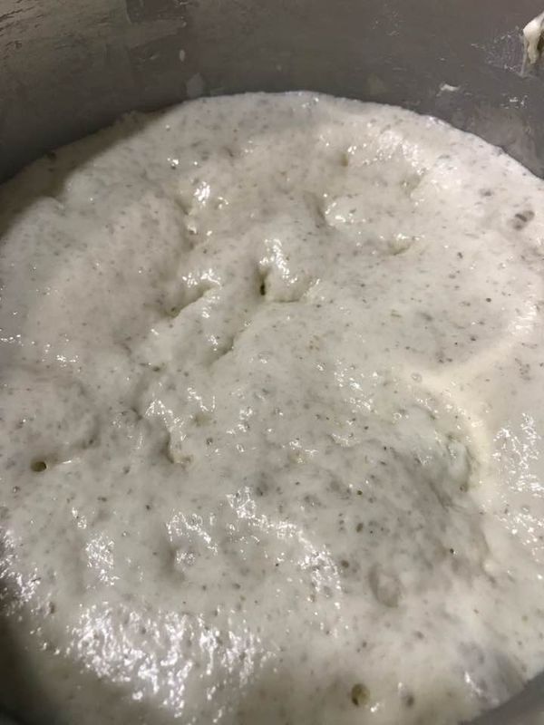 將麵種材料拌勻成團即可,放入有抺油的鋼盆,蓋上保鮮膜,靜置發酵約3-4小時至表面有大氣泡.