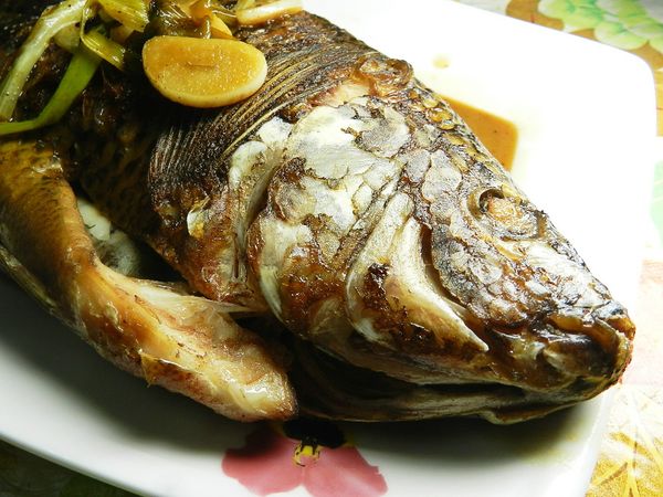 好吃的台灣鯛簡單上桌