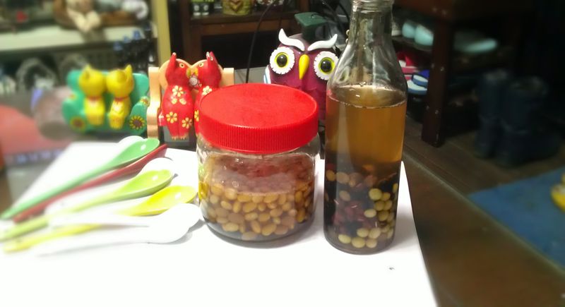醋大豆