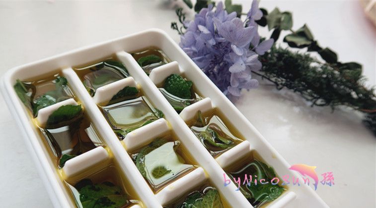 實用香料冰塊