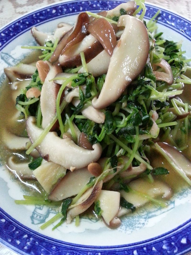 鮮菇豆苗