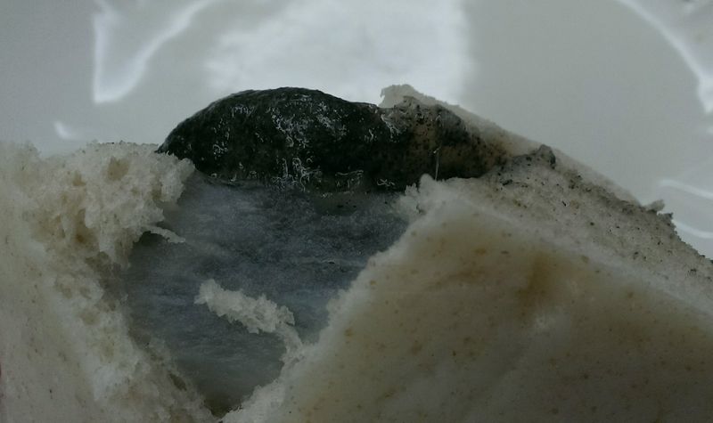 芝麻湯圓全麥包子