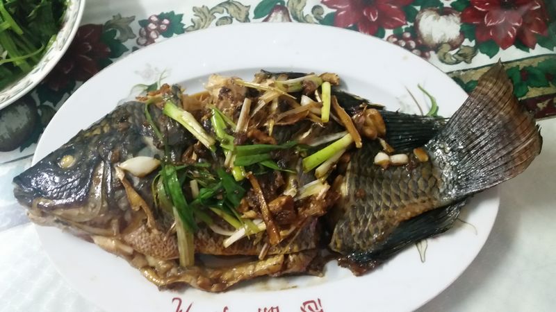 紅燒魚