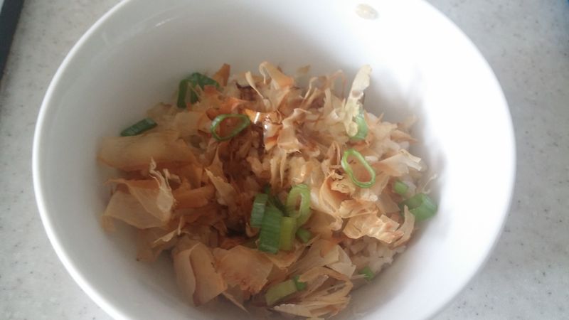 貓飯