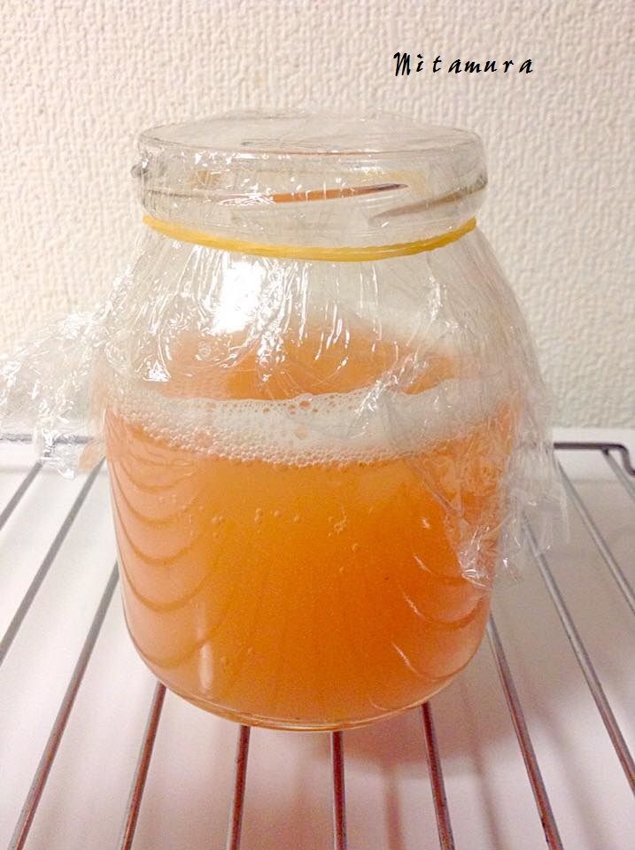 天然草莓酵母製作