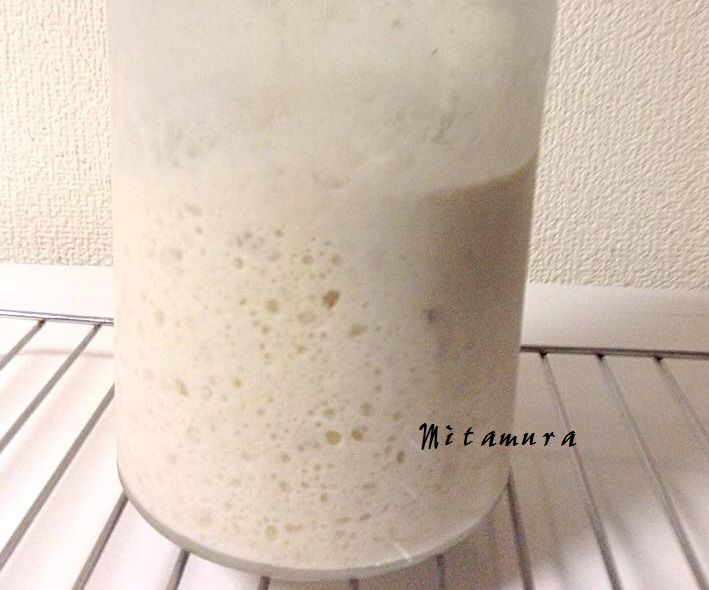 天然草莓酵母麵種