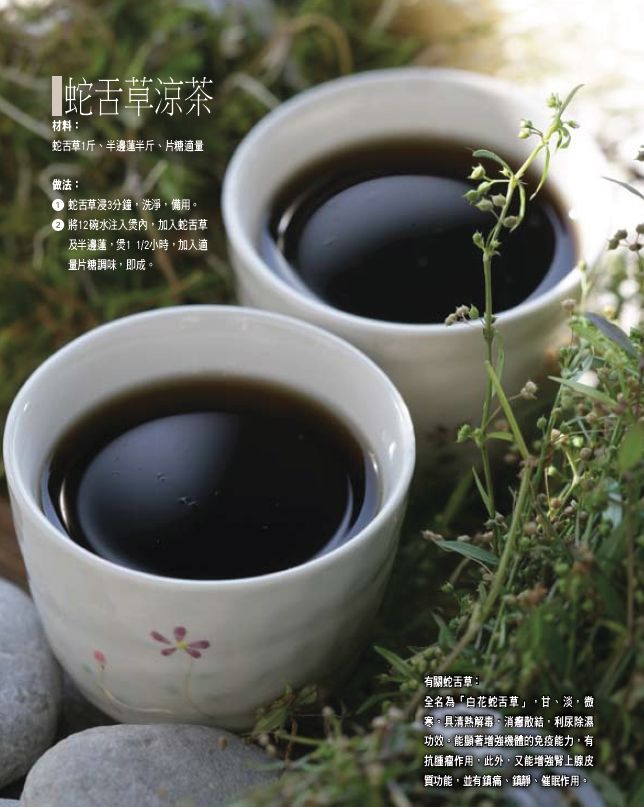 蛇舌草涼茶