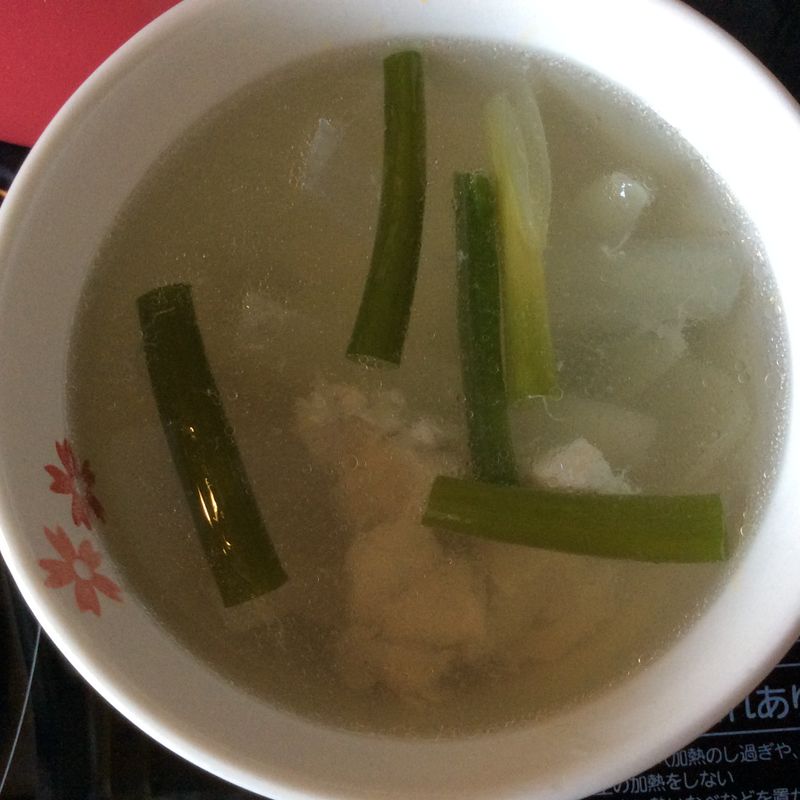 洋蔥雞肉湯