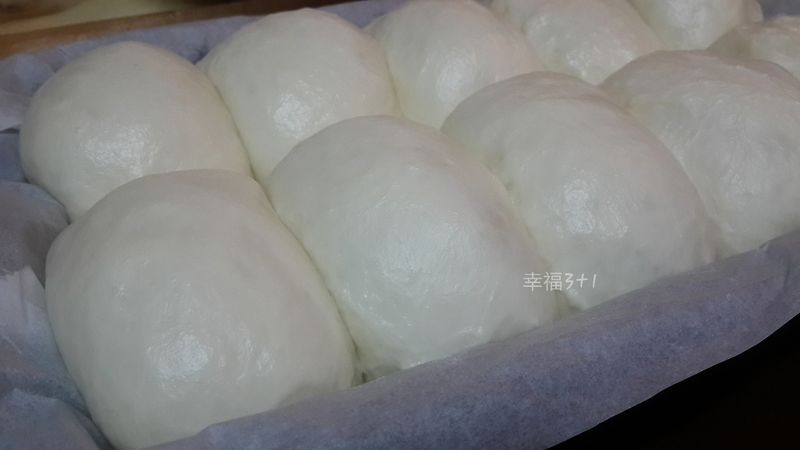 優格直接法麵團(105T)