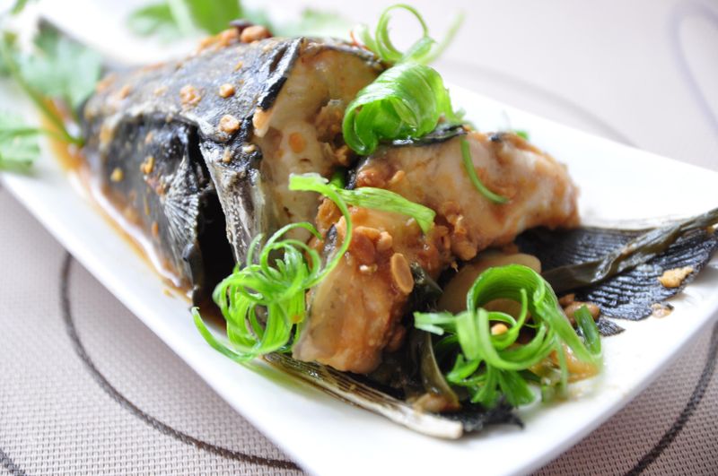 [大同電鍋] 豆鼓味噌鱘龍魚頭