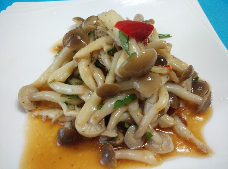 鴻禧菇溫沙拉