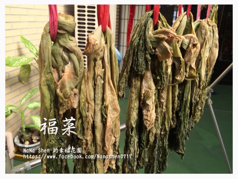 簡單醃漬【朴菜乾】(福菜)