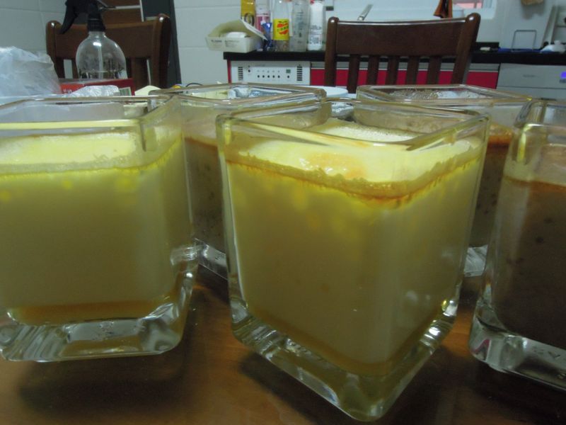 雞蛋牛奶布丁