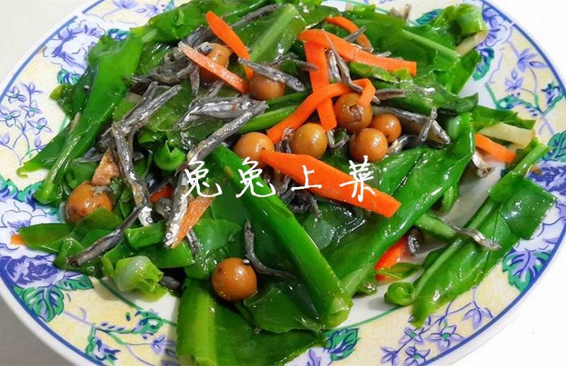 山蘇小魚