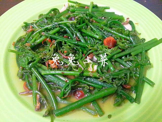 干貝醬過貓