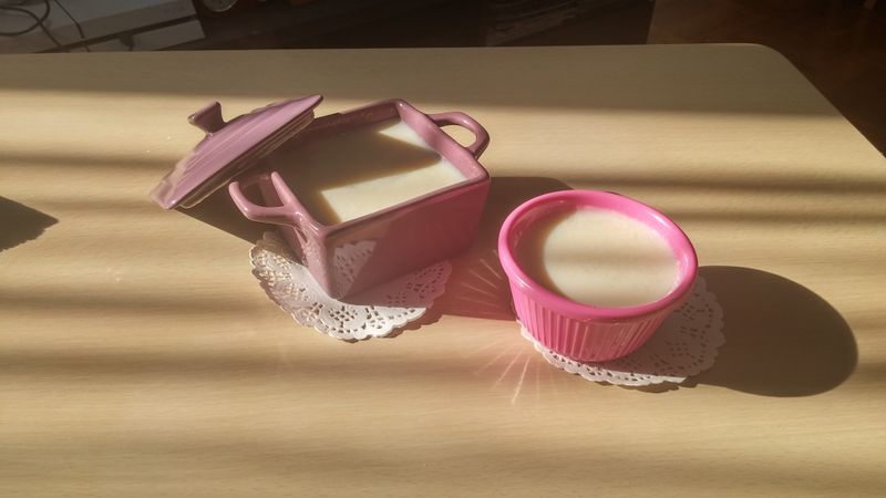 豆漿燉蛋白