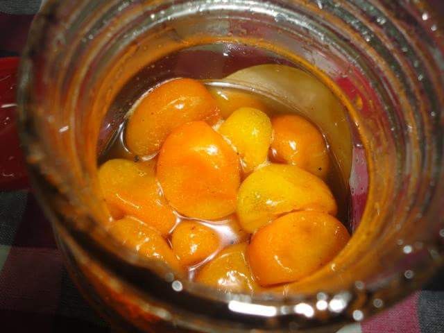 蜜金棗