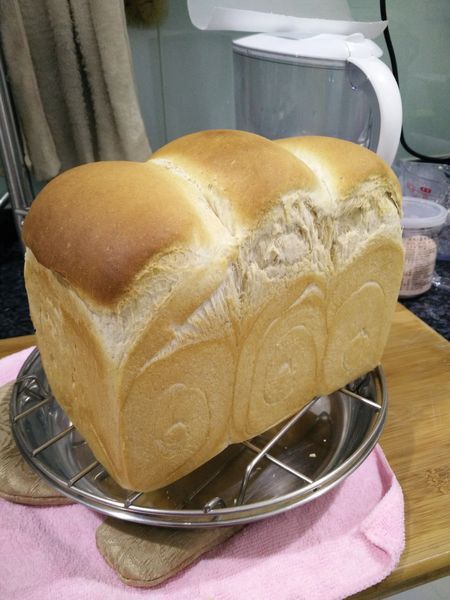 我的全麥吐司:(12兩長方模型)