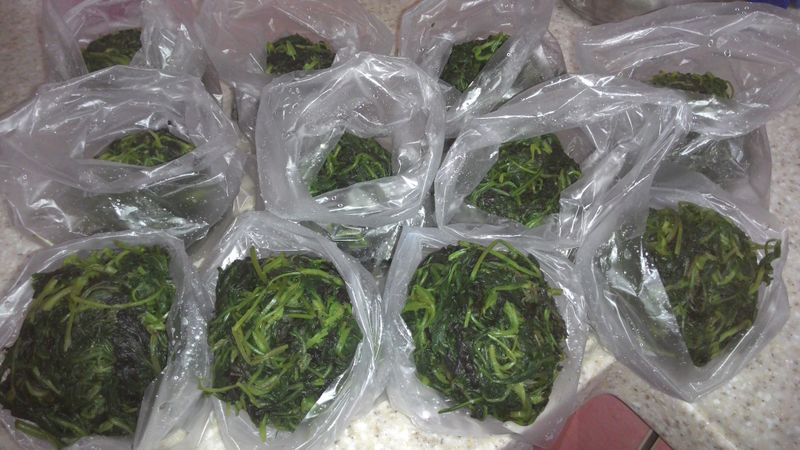 客家艾草(製作&使用)