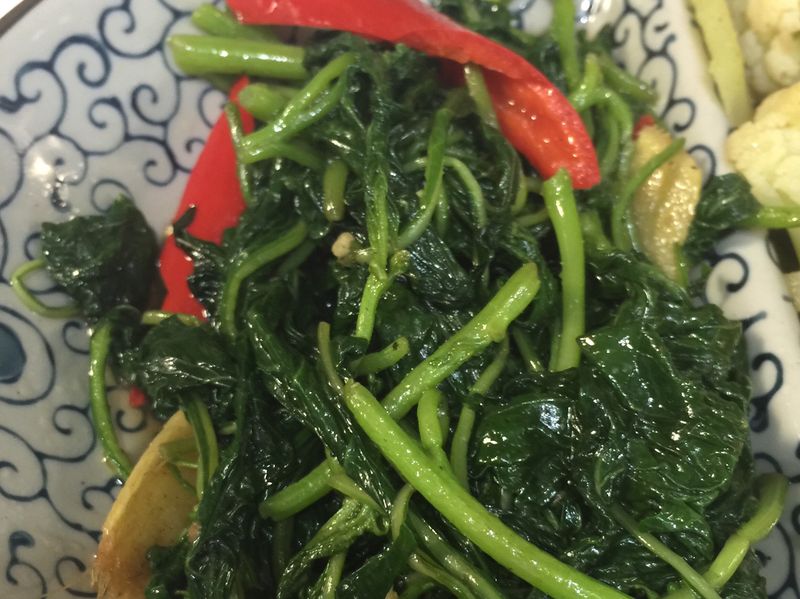 麻香龍葵