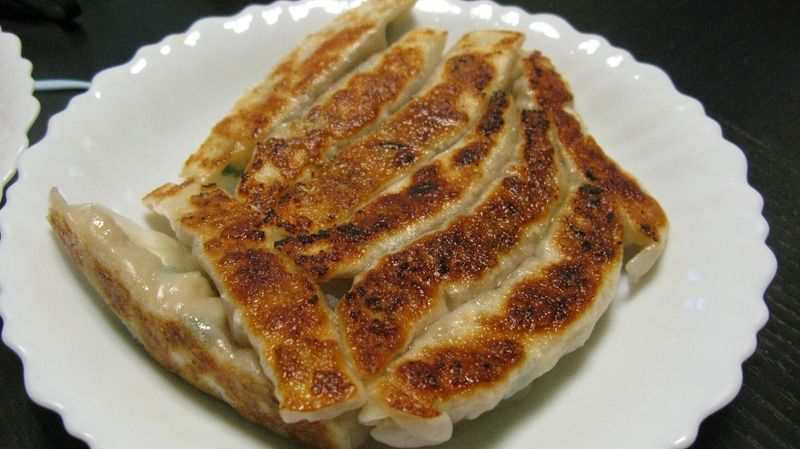 豬肉高麗菜鍋貼