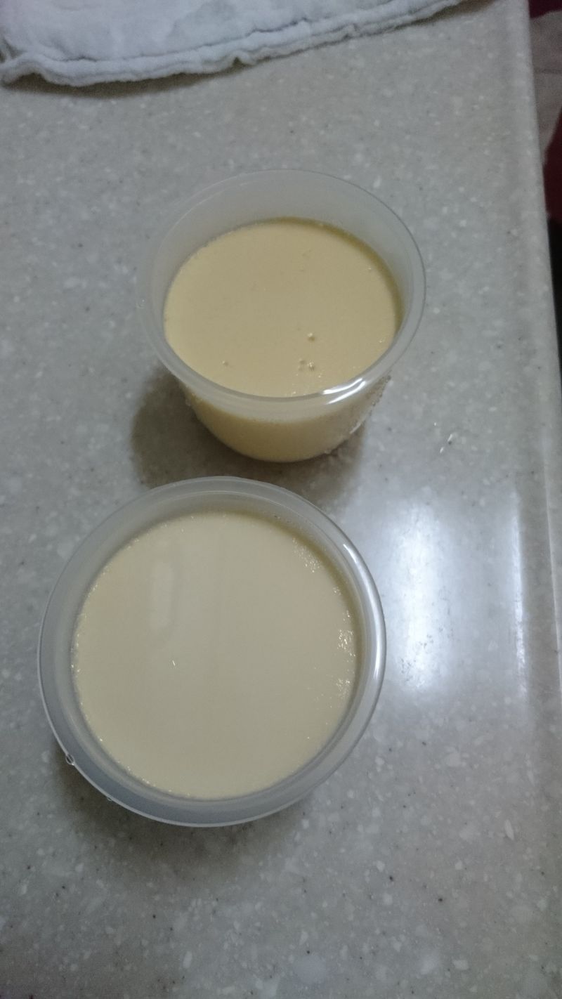 雞蛋牛奶布丁