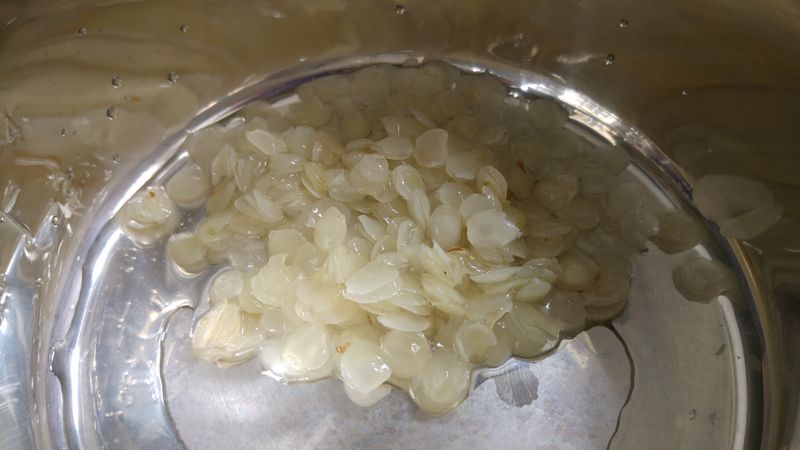 浸發 單筴 雪蓮子 又名 皂角米