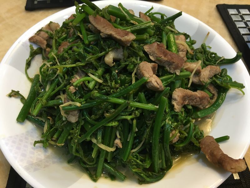 過貓炒肉絲