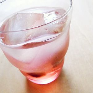【Tomiz小食堂】梅子糖漿