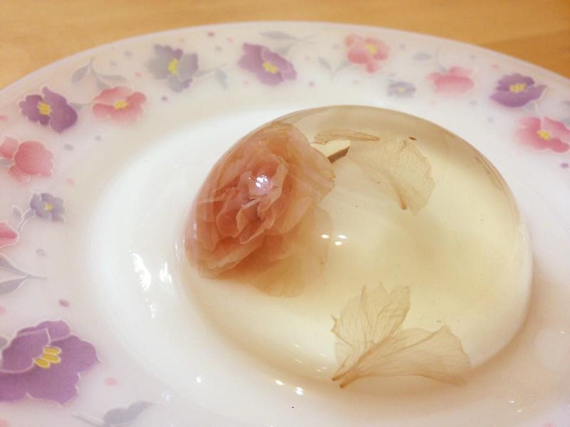 櫻花凍