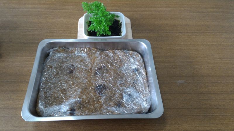 黑糖桂圓米糕