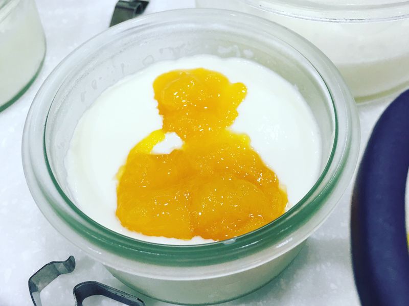 愛吃鮮奶酪