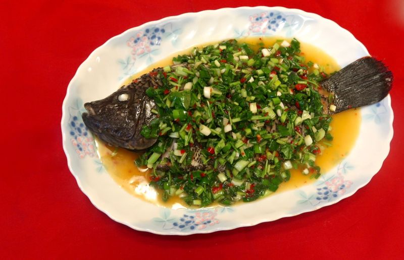 四川成都怪味魚