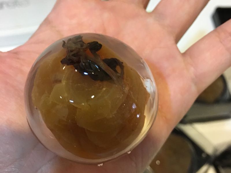 青梅水信玄餅