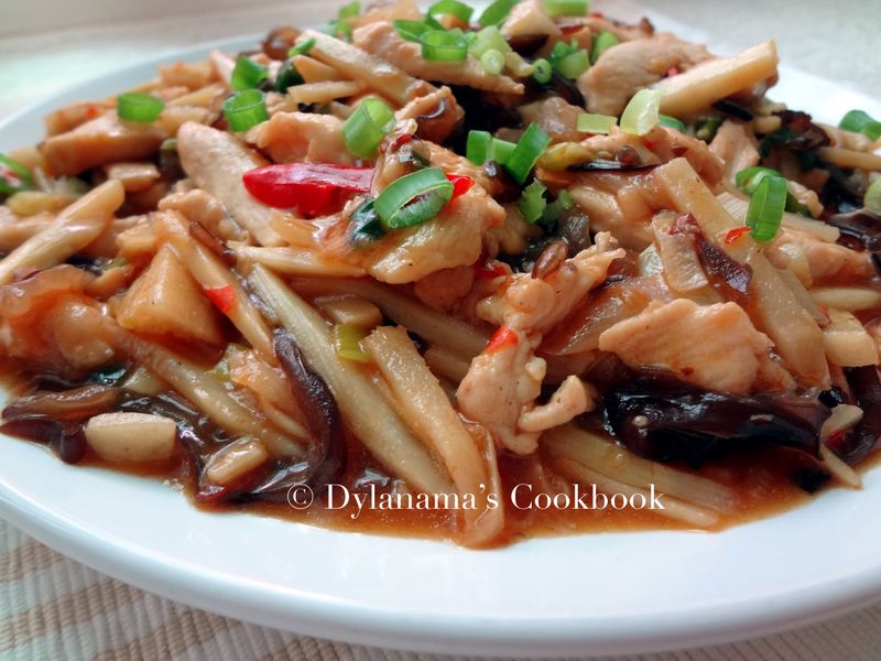 DYLANAMA ♥ 魚香肉絲