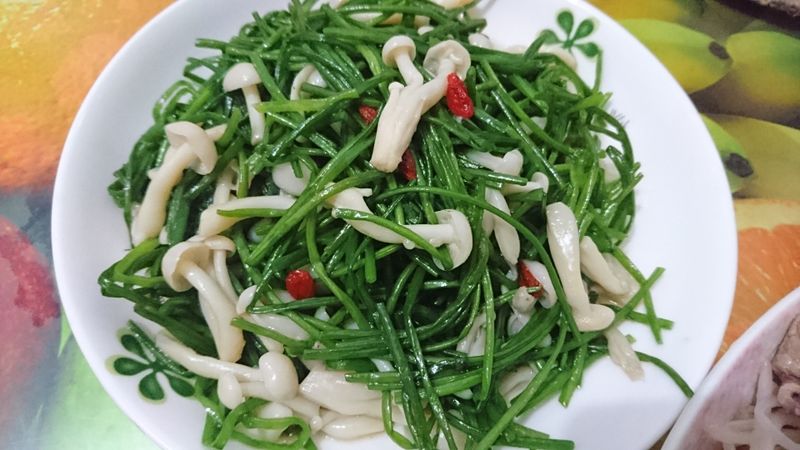 水蓮菇菇