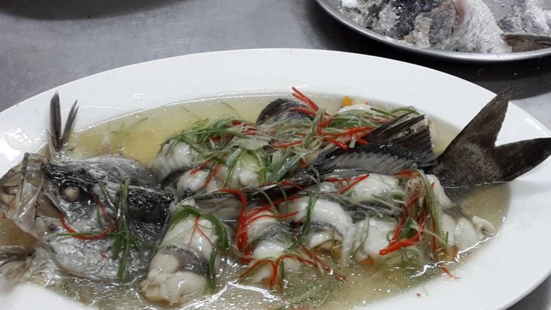 三絲魚捲
