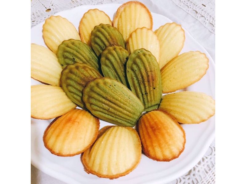 瑪德蓮