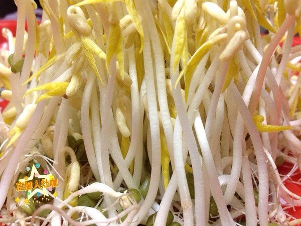 自孵豆芽